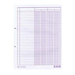 RASTER PAPIR 2-DK-50