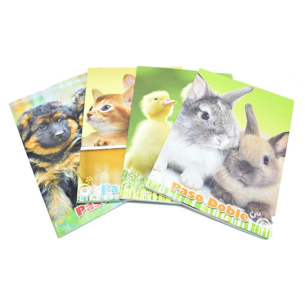 TEKA A-4/B DIKTO, KARO 80 gr. BLASETTI - Pasodoble-ž-linije