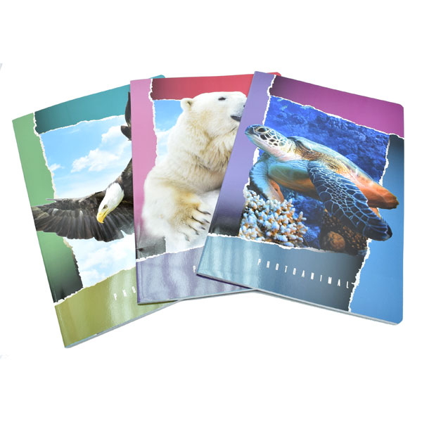 TEKA A-4/B DIKTO, KARO 80 gr. BLASETTI - Animals-ž-kockice