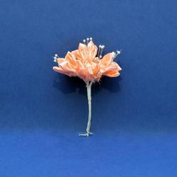 Cvjetići satenski-breskva