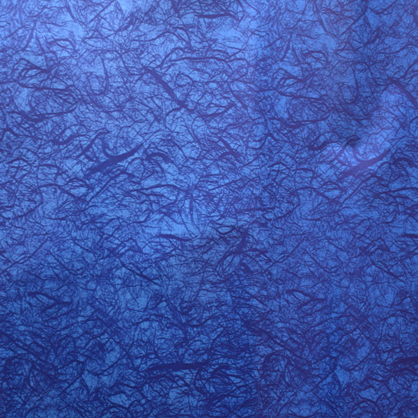 KARTOPAK U ARKU 70x100 cm - Plavi