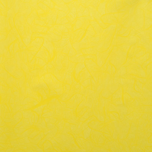 KARTOPAK U ARKU 70x100 cm - Žuti
