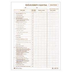 RAČUN DOBITI I GUBITKA (RDG-POD)