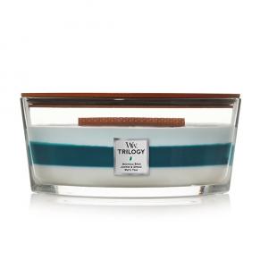 Svijeća Woodwick - Icy Woodland