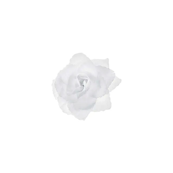 Ružica bijela