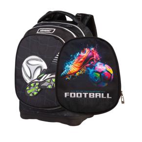 Football champion
